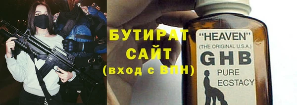 прущие грибы Апатиты