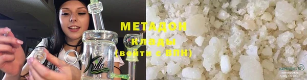 прущие грибы Апатиты