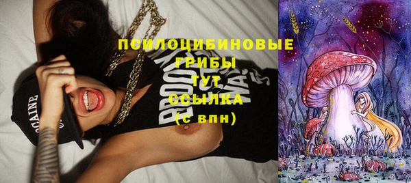 ГАЛЛЮЦИНОГЕННЫЕ ГРИБЫ Медвежьегорск