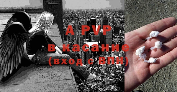 ГАЛЛЮЦИНОГЕННЫЕ ГРИБЫ Медвежьегорск