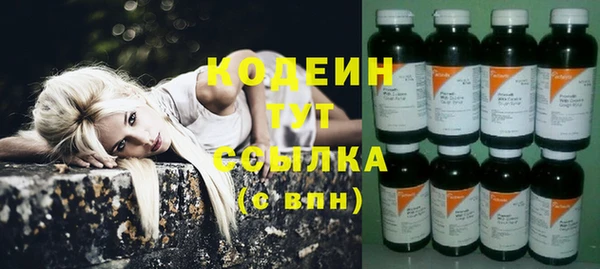 ГАЛЛЮЦИНОГЕННЫЕ ГРИБЫ Медвежьегорск