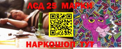 сатива Аргун