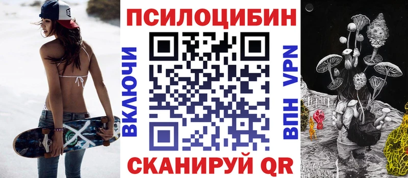 купить наркотики сайты  Тейково  Псилоцибиновые грибы Cubensis 