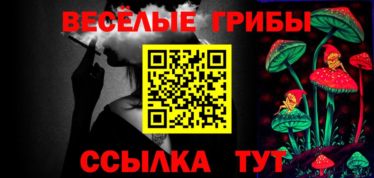 Галлюциногенные грибы GOLDEN TEACHER  Тейково 